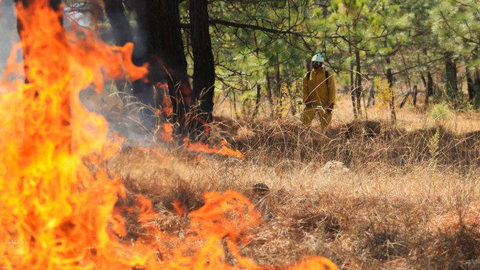 incendio