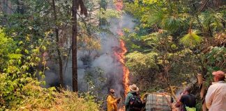 Brigadas de Cofom atienden incendio forestal en Tacámbaro