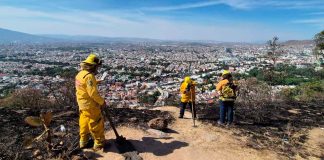 En tan sólo cuatro meses, Morelia registra más de 642 incendios
