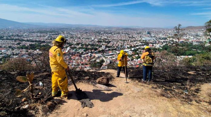 En tan sólo cuatro meses, Morelia registra más de 642 incendios