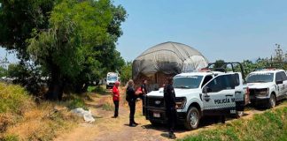 Grave campesino baleado en parcelas en Jacona