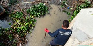 Más de 70 mil toneladas de basura retiradas de ríos y drenes de Morelia