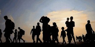 Migrantes desaparecidos; miles sin rastro y métodos de búsqueda ineficaces