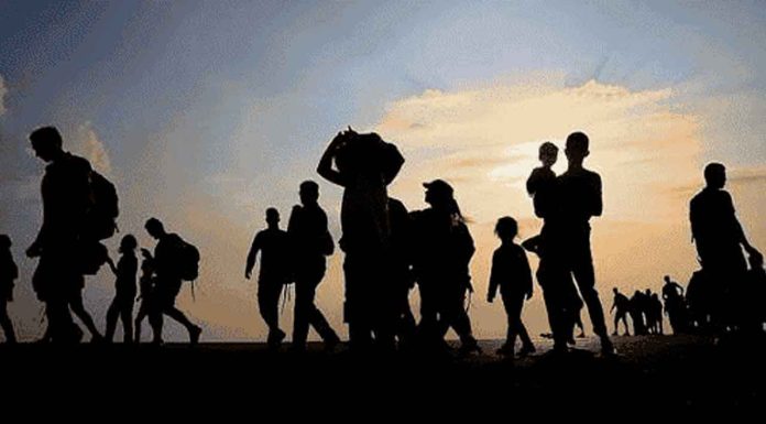 Migrantes desaparecidos; miles sin rastro y métodos de búsqueda ineficaces