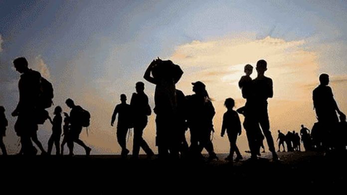 migrantes