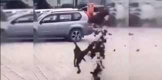 #VIDEO #VIRAL || ¡Un Daniel el Travieso lo vuelve a hacer! Explosión en la alcantarilla sacude la calma del vecindario