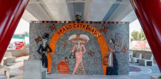 Catrinas de Capula dan vida al bajopuente de Villas del Pedregal: SCOP
