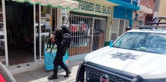 Atacan con machete a perrita y a sus cachorros en Guanajuato; piden se comparta el caso para que se haga justicia