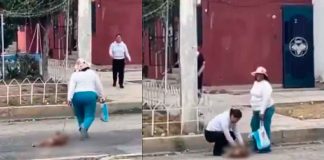 #VIDEO | Mujer es captada en video arrastrando a una canina desmayada #México