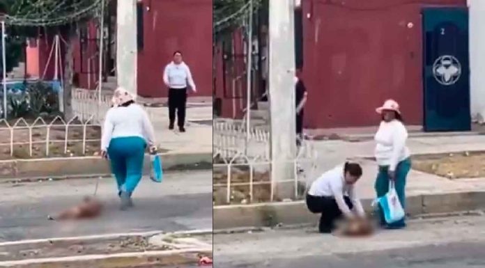 #VIDEO | Mujer es captada en video arrastrando a una canina desmayada #México