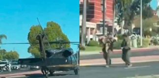 #VIDEO | Transportan de emergencia en helicóptero a perrito policía que fue atacado por serpiente de cascabel