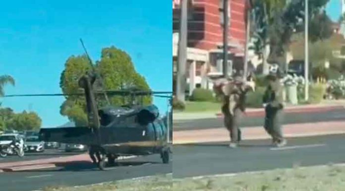 #VIDEO | Transportan de emergencia en helicóptero a perrito policía que fue atacado por serpiente de cascabel