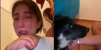 #Viral #VIDEO | Joven solicita ayuda entre lágrimas para salvar a su perrito con moquillo; no puede pagar el tratamiento #México