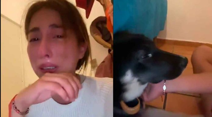 #Viral #VIDEO | Joven solicita ayuda entre lágrimas para salvar a su perrito con moquillo; no puede pagar el tratamiento #México