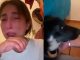 #Viral #VIDEO | Joven solicita ayuda entre lágrimas para salvar a su perrito con moquillo; no puede pagar el tratamiento #México