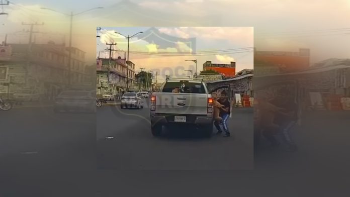 perrito colgado