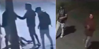 #VIDEO #DenunciaCiudadana || En Morelia mientras la ciudad duerme, las ratas hacen turno doble