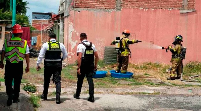 Niños resultan intoxicados por gas lacrimógeno en domicilio de Arko San Antonio
