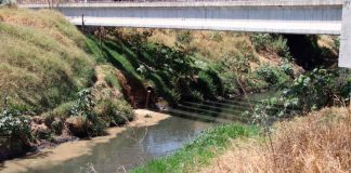 Retirados más de 78 mil toneladas de basura en ríos y drenes de Morelia