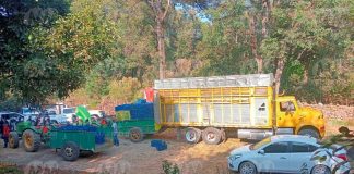 GC y policías municipales detienen a 14 presuntos roba aguacates en Salvador Escalante