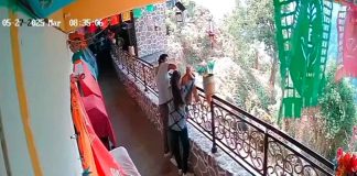 #Video | Pareja es captada robando donativos para animales