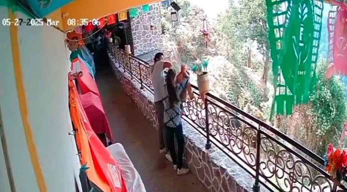 #Video | Pareja es captada robando donativos para animales