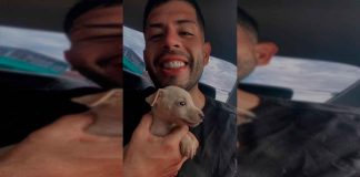 #VIDEO || ¡Un héroe inesperado y un perrito salvado!