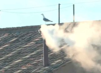 #Video | ¡Habemus Papam! Emana Fumata Blanca de la Capilla Sixtina