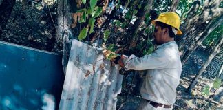 SSM te dice cómo detectar el dengue grave o hemorrágico