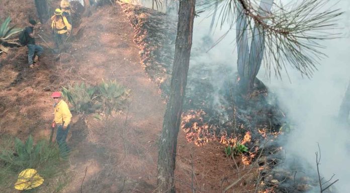 Liquidados 3 incendios en Aguililla, Lagunillas y Pátzcuaro: Cofom