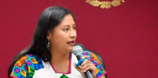 La Senadora Celeste Ascencio presenta iniciativa para fortalecer la inclusión laboral en México
