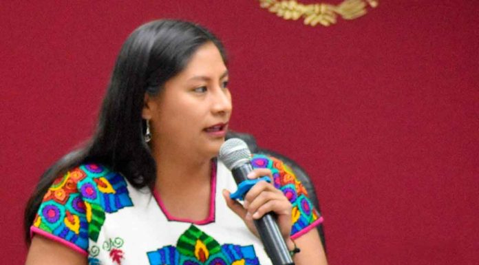 La Senadora Celeste Ascencio presenta iniciativa para fortalecer la inclusión laboral en México