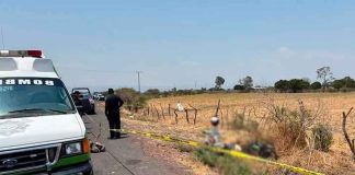 Motociclista pierde la vida en fatal accidente, en La Piedad