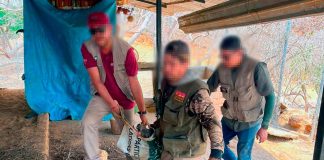 Apoya Zoológico de Morelia con traslado y resguardo de venados decomisados