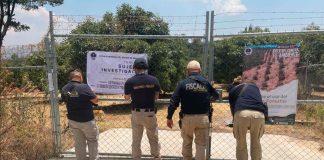 Cumplimenta FGE cateo en huerta de Erongarícuaro relacionada en delito contra el ambiente