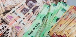 En espera de ser asignados cerca de 370 MDP del FAEISPUM: SFA
