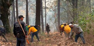 Incendio en Senguio, liquidado al 50 %: Cofom