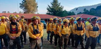 Brigadas atienden 3 incendios en Cotija, Maravatío y Tuxpan: Cofom