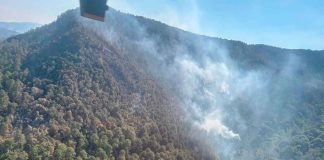 Incendio en la Monarca posiblemente quede hoy finiquitado: Secretaría de Medio Ambiente