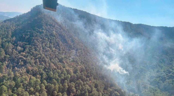 Incendio en la Monarca posiblemente quede hoy finiquitado: Secretaría de Medio Ambiente