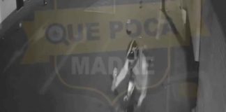 #Video | ¡Indignante robo de motocicleta en Morelia! Ciudadanos piden ayuda para capturar a los responsables