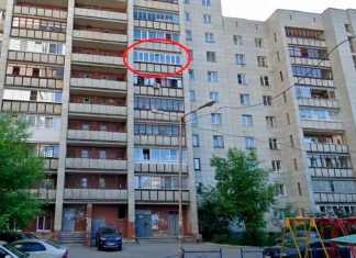 #Viral #VIDEO | Abuelita cae del sexto piso mientras limpiaba y sobrevive al aterrizar sobre un auto #Internacional