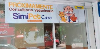 Veterinarias a bajo costo: Simi Pet Care, ¿será una realidad en México?