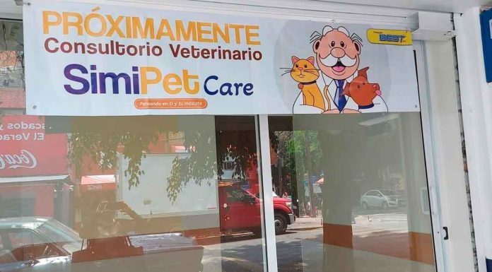 Veterinarias a bajo costo: Simi Pet Care, ¿será una realidad en México?
