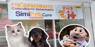 ¡Consultorios Simi… para lomitos! Farmacias Similares lanza su primer proyecto veterinario piloto: SimiPet Care