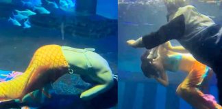 #VIDEO | Mujer ‘sirena’ se desmaya en pleno show y casi se ahoga