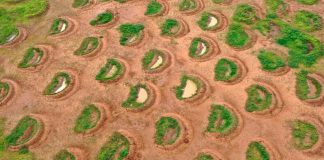 #VIDEO || Renacer Verde en Tanzania: Cómo Pozos de Agua Transformaron el Desierto en Sabana