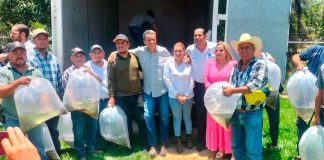 Entrega Compesca 52 mil crías de tilapia a productores de Uruapan