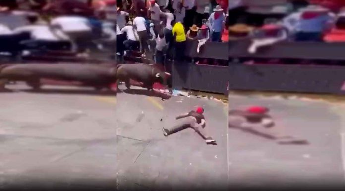 #VIDEO || El karma en una corrida de toros