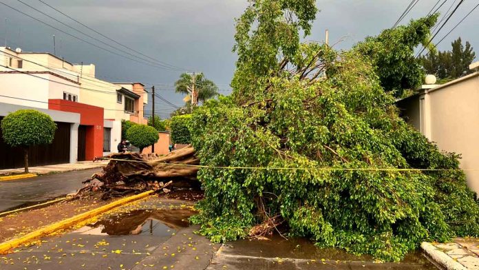 trombaqueazotozamora